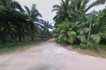 Selangor Kuala Langat Tanjong DuaBelas Jenjarom 仁嘉隆 43.8 Acres Mixed Development Land for SALE‼️