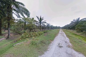 Selangor Kuala Langat Tanjong DuaBelas Jenjarom 仁嘉隆 43.8 Acres Mixed Development Land for SALE‼️