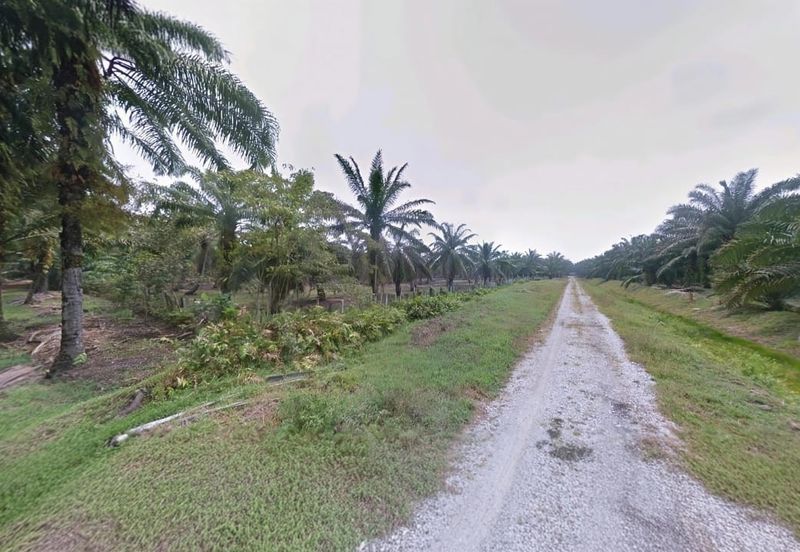 Selangor Kuala Langat Tanjong DuaBelas Jenjarom 仁嘉隆 43.8 Acres Mixed Development Land for SALE‼️