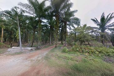 Selangor Kuala Langat Tanjong DuaBelas Jenjarom 仁嘉隆 43.8 Acres Mixed Development Land for SALE‼️