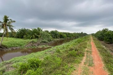 Selangor Kuala Langat Jugra CAREY ISLAND 500 acres Beachfront Land for SALE