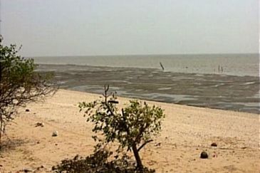 Selangor Kuala Langat Jugra CAREY ISLAND 500 acres Beachfront Land for SALE