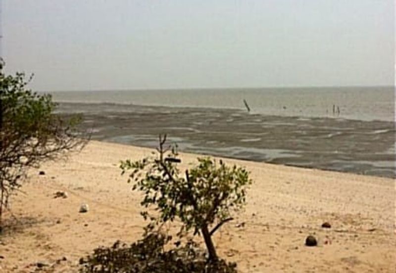 Selangor Kuala Langat Jugra CAREY ISLAND 500 acres Beachfront Land for SALE