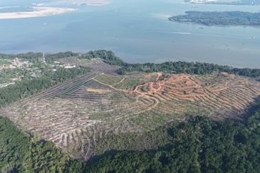 Pasir Gudang Tanjung Langsat 136 Acres Zoning Industrial Land For SALE ‼️ 