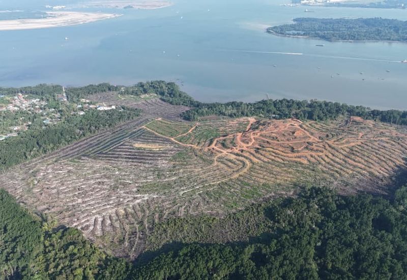 Pasir Gudang Tanjung Langsat 136 Acres Zoning Industrial Land For SALE ‼️ 