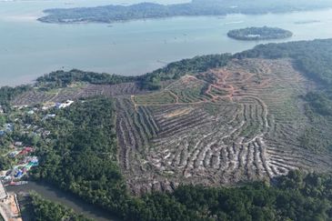 Pasir Gudang Tanjung Langsat 136 Acres Zoning Industrial Land For SALE ‼️ 