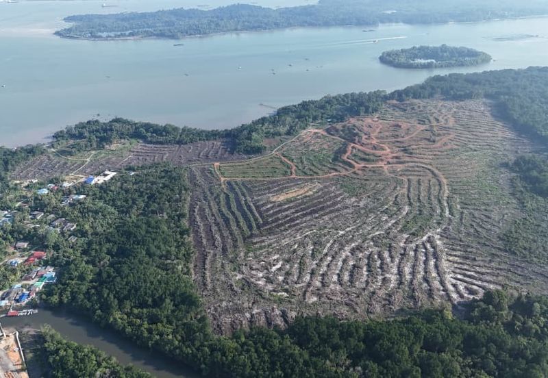 Pasir Gudang Tanjung Langsat 136 Acres Zoning Industrial Land For SALE ‼️ 