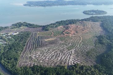 Pasir Gudang Tanjung Langsat 136 Acres Zoning Industrial Land For SALE ‼️ 