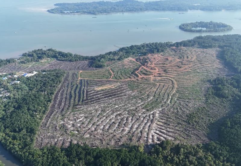 Pasir Gudang Tanjung Langsat 136 Acres Zoning Industrial Land For SALE ‼️ 