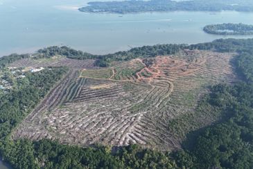 Pasir Gudang Tanjung Langsat 136 Acres Zoning Industrial Land For SALE ‼️ 