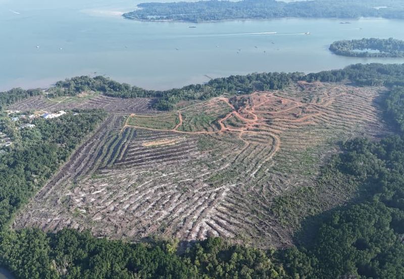 Pasir Gudang Tanjung Langsat 136 Acres Zoning Industrial Land For SALE ‼️ 