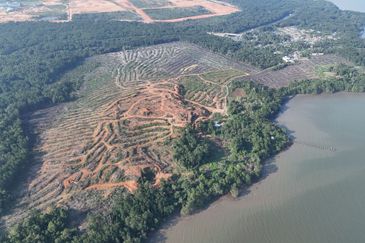 Pasir Gudang Tanjung Langsat 136 Acres Zoning Industrial Land For SALE ‼️ 