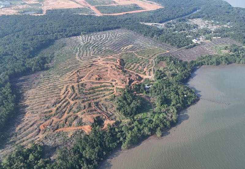 Pasir Gudang Tanjung Langsat 136 Acres Zoning Industrial Land For SALE ‼️ 