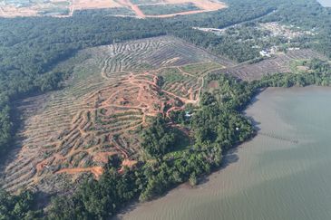 Pasir Gudang Tanjung Langsat 136 Acres Zoning Industrial Land For SALE ‼️ 