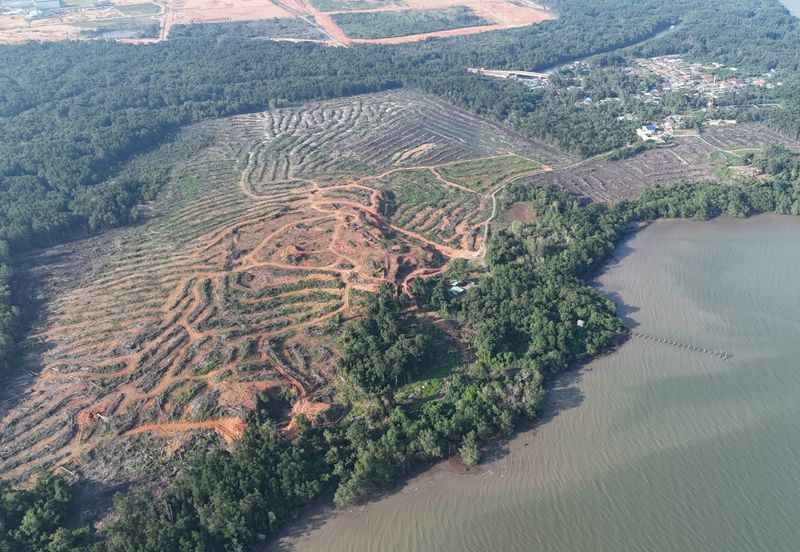 Pasir Gudang Tanjung Langsat 136 Acres Zoning Industrial Land For SALE ‼️ 