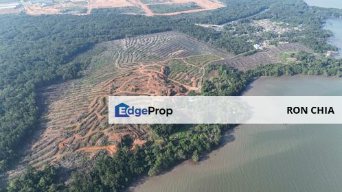 Pasir Gudang Tanjung Langsat 136 Acres Zoning Industrial Land For SALE ‼️ , Johor, Pasir Gudang