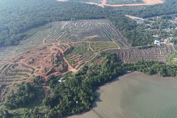 Pasir Gudang Tanjung Langsat 136 Acres Zoning Industrial Land For SALE ‼️ 