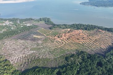 Pasir Gudang Tanjung Langsat 136 Acres Zoning Industrial Land For SALE ‼️ 