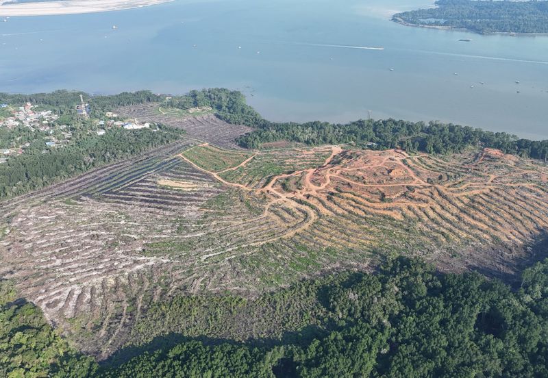 Pasir Gudang Tanjung Langsat 136 Acres Zoning Industrial Land For SALE ‼️ 