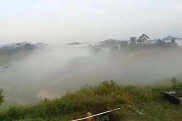 Pahang Kuala Lipis Gua Padang Tengku 45 acres Durian Farm Land for SALE