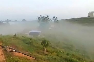 Pahang Kuala Lipis Gua Padang Tengku 45 acres Durian Farm Land for SALE