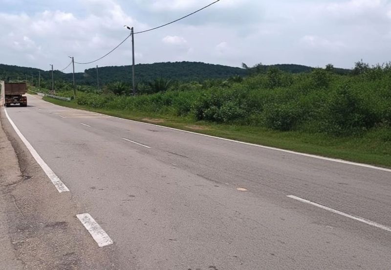 Negeri Sembilan Jempol Jelai 705 Acres Palm Oil Land for SALE ‼️ 