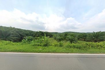 Negeri Sembilan Jempol Jelai 705 Acres Palm Oil Land for SALE ‼️ 