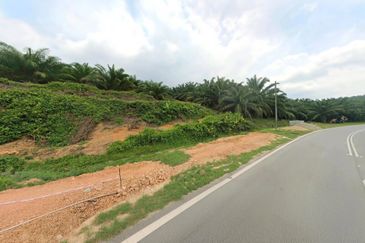Negeri Sembilan Jempol Jelai 705 Acres Palm Oil Land for SALE ‼️ 