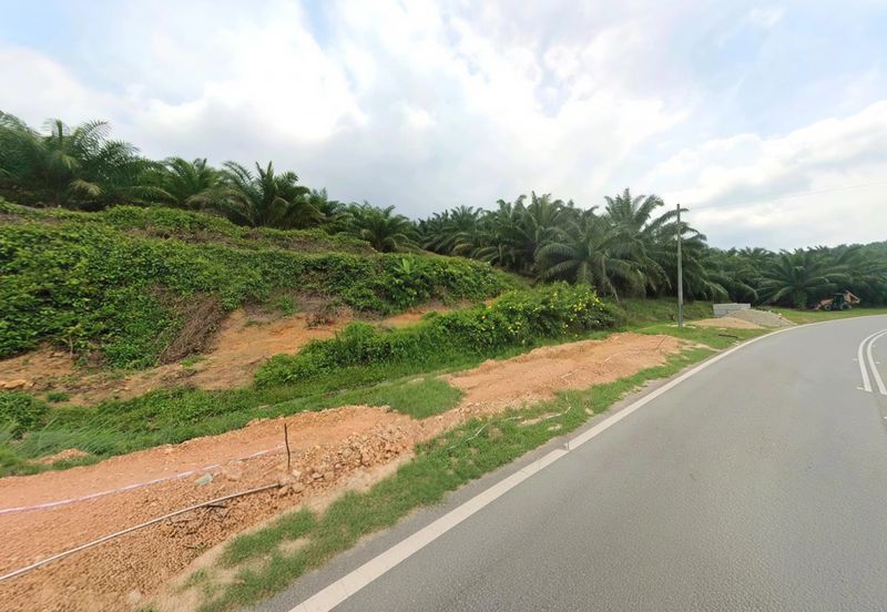 Negeri Sembilan Jempol Jelai 705 Acres Palm Oil Land for SALE ‼️ 