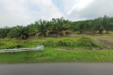 Negeri Sembilan Jempol Jelai 705 Acres Palm Oil Land for SALE ‼️ 