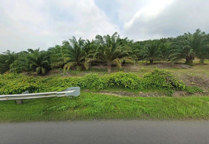 Negeri Sembilan Jempol Jelai 705 Acres Palm Oil Land for SALE ‼️ 