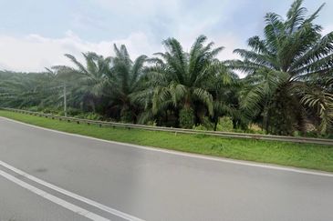 Negeri Sembilan Jempol Jelai 705 Acres Palm Oil Land for SALE ‼️ 