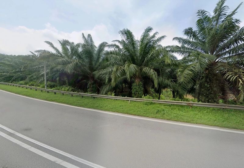 Negeri Sembilan Jempol Jelai 705 Acres Palm Oil Land for SALE ‼️ 