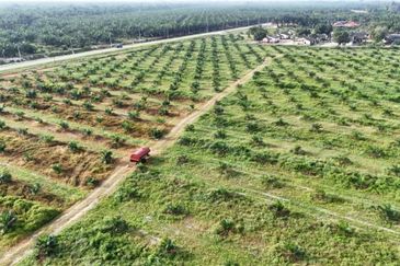 Perak Pantai Remis 1668 Acres Mixed Development Converted Industrial Palm Oil Land for SALE ‼️ 