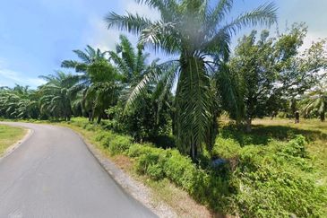 Perak Pantai Remis 1668 Acres Mixed Development Converted Industrial Palm Oil Land for SALE ‼️ 
