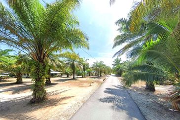 Perak Pantai Remis 1668 Acres Mixed Development Converted Industrial Palm Oil Land for SALE ‼️ 