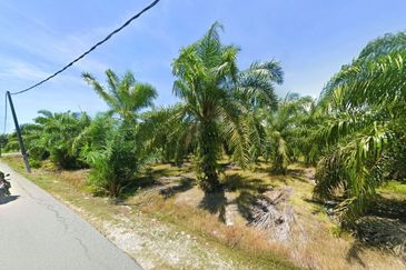 Perak Pantai Remis 1668 Acres Mixed Development Converted Industrial Palm Oil Land for SALE ‼️ 