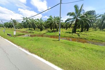 Perak Pantai Remis 1668 Acres Mixed Development Converted Industrial Palm Oil Land for SALE ‼️ 