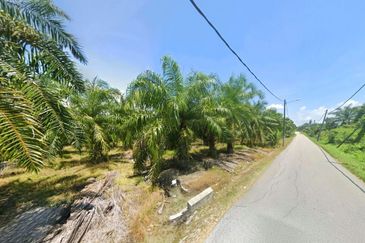 Perak Pantai Remis 1668 Acres Mixed Development Converted Industrial Palm Oil Land for SALE ‼️ 