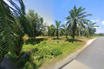 Perak Pantai Remis 1668 Acres Mixed Development Converted Industrial Palm Oil Land for SALE ‼️ 