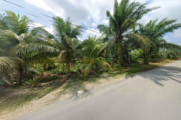Perak Pantai Remis 1668 Acres Mixed Development Converted Industrial Palm Oil Land for SALE ‼️ 
