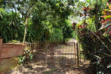 Kota Tinggi 21 Acres Dusun Land For Sale 