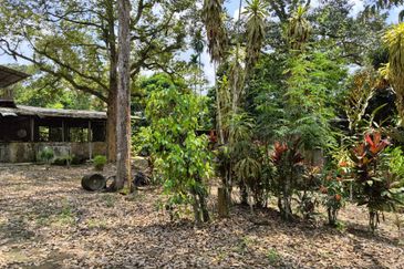 Kota Tinggi 21 Acres Dusun Land For Sale 