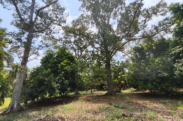 Kota Tinggi 21 Acres Dusun Land For Sale 