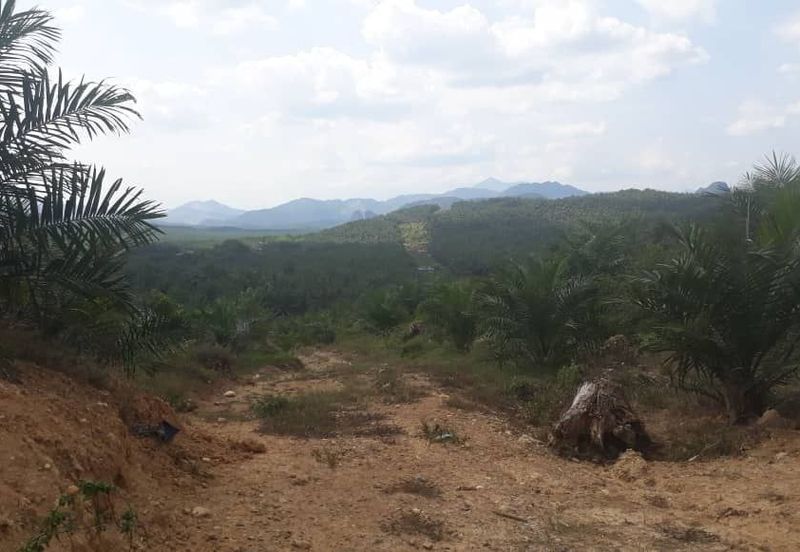 Kulai Bukit Batu 168 Acres Land For Sale ‼️