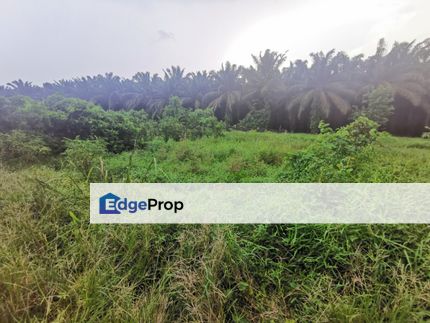 Gelang Patah 9 Acres Zoning Commercial Land For Sale , Johor, Gelang Patah