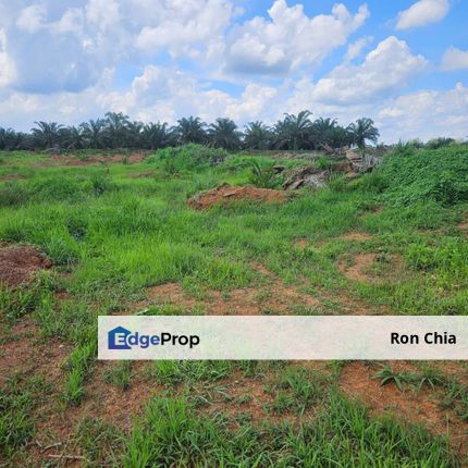 Simpang Renggam 17 Acres Agricultural Land For Sale , Johor, Kluang