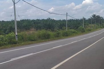 Johor Segamat Sermin 311 Acres Palm Oil Land for SALE
