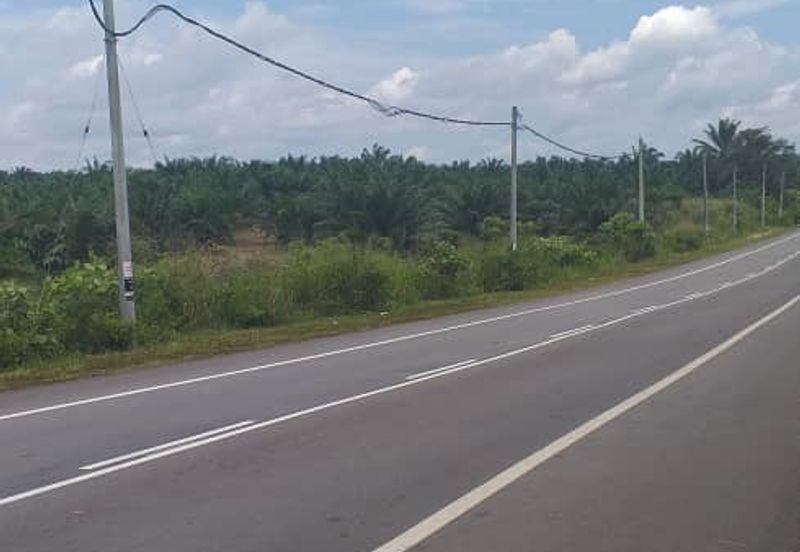 Johor Segamat Sermin 311 Acres Palm Oil Land for SALE