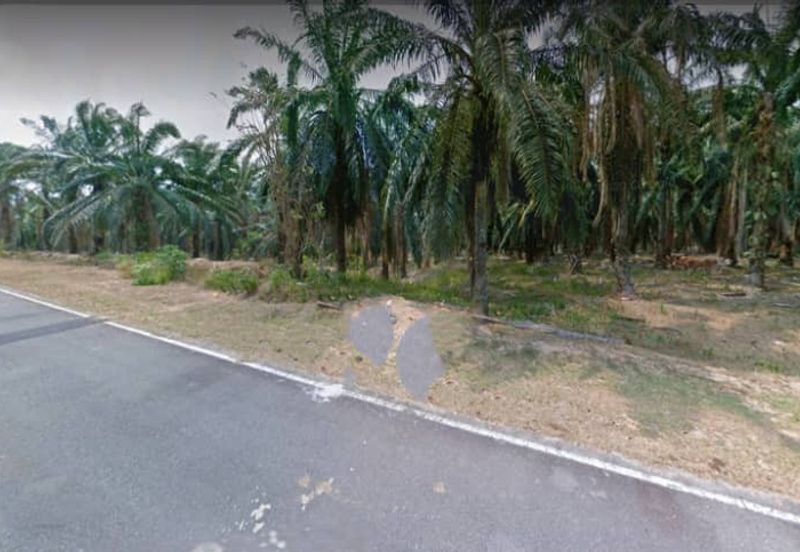 Negeri Sembilan Kuala Pilah Johol 475 acres Palm Oil Land for SALE